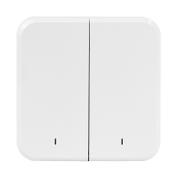 Двухклавишный беспроводной выключатель SZ-SBR