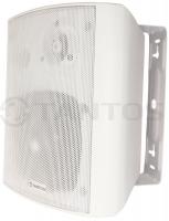 Громкоговоритель TSo-SW15k